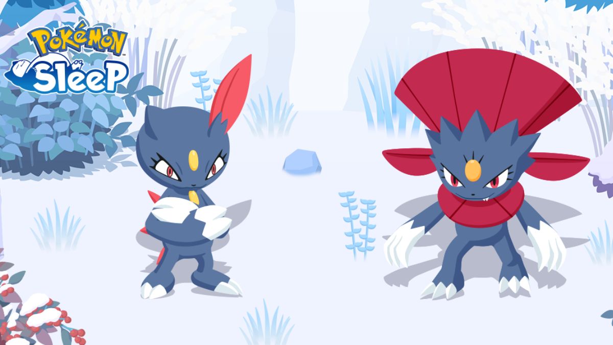 Comment se faire du sniasel et des tissules dans le sommeil pokemon