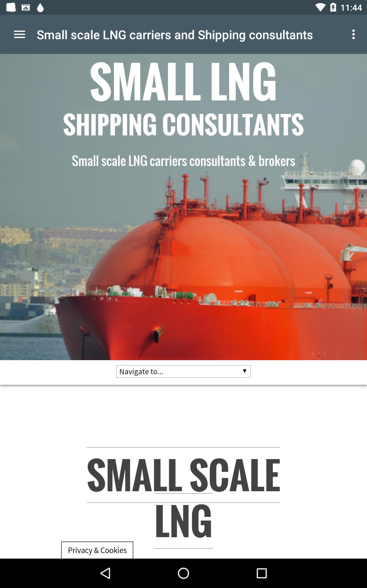 Small LNG Shipping