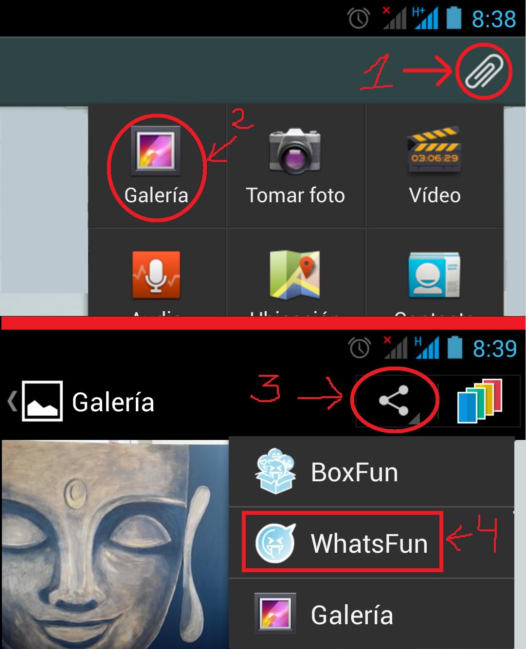 WhatsFun