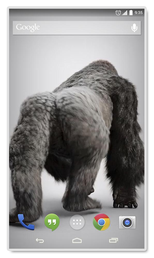 Home Monkey 3D Live Wallpaper