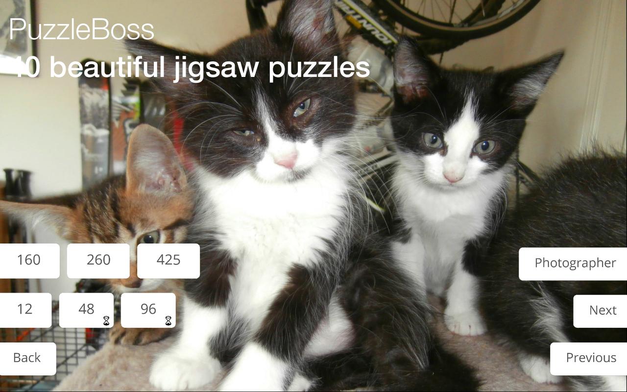Jigsaw Puzzles: Cute Cats